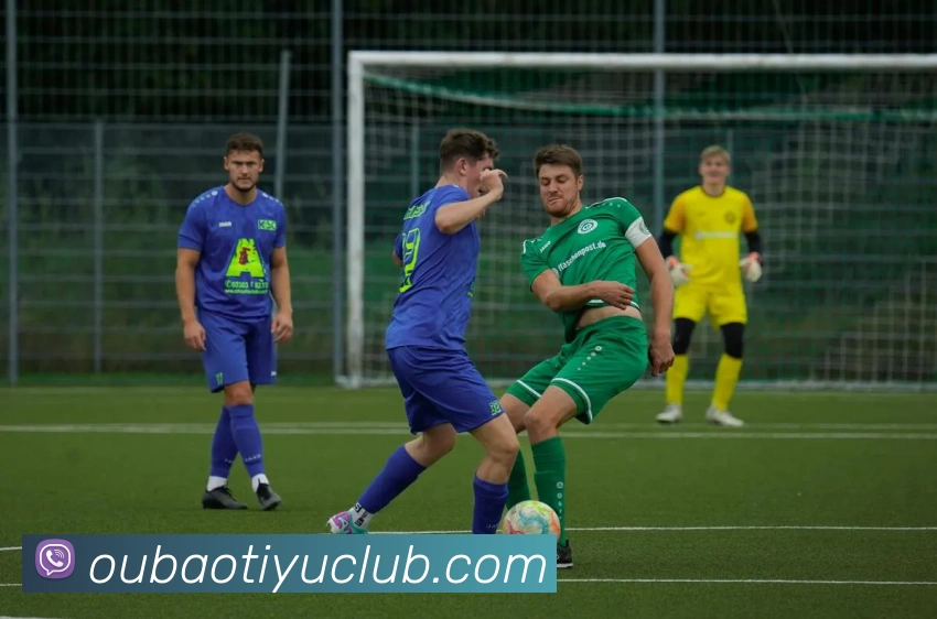 欧宝体育APP 封面图